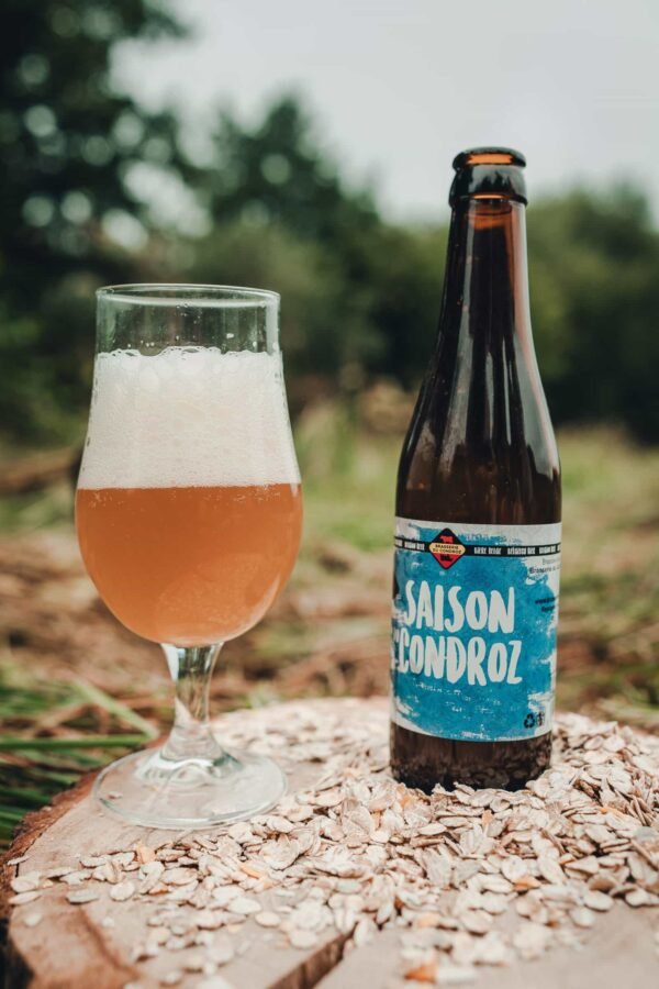 Saison condroz