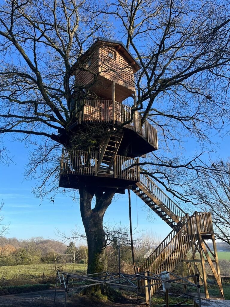 Cabane du chêne